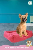 Pandogo Kedi Yatağı Evcil Hayvan Kedi Minderi Evcil Hayvan Dikdörtgen 65x45 Cm Yumuşak Minder Kırmızı thumbnail 5