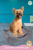 Pandogo Kedi Yatağı Evcil Hayvan Kedi Minderi Evcil Hayvan Dikdörtgen 65x45 Cm Yumuşak Minder Gri thumbnail 5