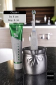 Star Master Diş Fırçası Kabı Diş Fırçalığı Fırçalık Gümüş Eskitme Renk Model 8 - 2
