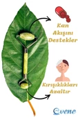 Evene Yüz Masaj Aleti Yüz Masaj Taşı Yeşim Taşı Face Roller Yüz Sıkılaştırıcı - 5