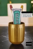 Star Master Diş Fırçası Kabı Diş Fırçalığı Fırçalık Altın Renk Model 11 thumbnail 4