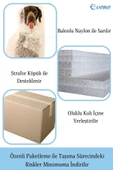Evene Biblo Dekoratif Obje Heykel Biblo Aslan Biblo Dekoratif Süs Eşyası Altın Eskitme Renk Model 2 - 6