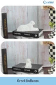 Evene Biblo Dekoratif Obje Heykel Biblo Aslan Biblo Dekoratif Süs Eşyası Model 1 thumbnail 2