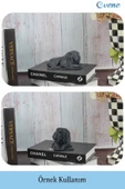 Evene Biblo Dekoratif Obje Heykel Biblo Aslan Biblo Dekoratif Süs Eşyası Model 3 - 2