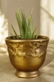 Stein Kohle Dekoratif Saksı Minik Kaktüs Saksısı Altın Eskitme Renk Model 31 thumbnail 1