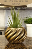 Stein Kohle Dekoratif Saksı Minik Kaktüs Saksısı Altın Eskitme Renk 1 Adet Kalın Çizgili Spiral Model thumbnail 4