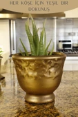 Stein Kohle Dekoratif Saksı Minik Kaktüs Saksısı Altın Eskitme Renk Model 31 thumbnail 5