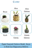 Evene Saksı Dekoratif Saksı Kaktüs Saksısı Sukulent Saksısı Küçük Saksı Model 5 Siyah Saksı - 8