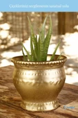 Evene Saksı Dekoratif Saksı Kaktüs Saksısı Sukulent Saksısı Küçük Saksı Model 43 Altın Saksı thumbnail 3