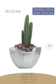 Stein Kohle Çiçek Saksısı Dekoratif Kaktüs Saksı 1 Adet Gümüş Renk Uygulamalı Önü Açık Model thumbnail 2