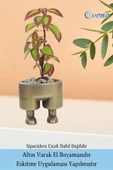 Evene Saksı Çiçek Kaktüs Saksısı Lüx 13 Cm Altın Eskitme Varak Boyalı Pantolon Desen Saksı Çiçeklik - 5