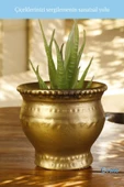 Evene Saksı Dekoratif Saksı Kaktüs Saksısı Sukulent Saksısı Küçük Saksı Model 43 Gold Saksı thumbnail 3