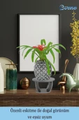 Evene Ahşap Ayaklı Beton Saksı Büyük Boy 1 Adet Gümüş Varak Boyalı Eskitmeli Ananas Model thumbnail 8