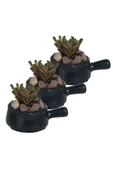 Evene Saksı Dekoratif Saksı Kaktüs Saksısı Sukulent Saksısı Küçük Saksı Model 28 Siyah 3 Lü Saksı thumbnail 1