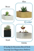 Evene Mini Çiçek Saksı Küçük Sukulent Altın Kaktüs Saksısı Dörtgen Yatay Model thumbnail 7