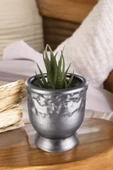 Stein Kohle Dekoratif Saksı Minik Kaktüs Saksısı Gümüş Eskitme Renk Model 31 thumbnail 1