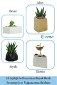 Evene Mini Çiçek Saksı Küçük Sukulent Gümüş Kaktüs Saksısı Dörtgen Yatay Model thumbnail 7