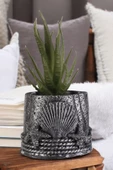 Stein Kohle Dekoratif Saksı Minik Kaktüs Saksısı Gümüş Eskitme Renk 1 Adet Deniz Ürünlü Model thumbnail 1