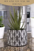 Stein Kohle Dekoratif Saksı Minik Kaktüs Saksısı Gümüş Eskitme Renk 1 Adet Baklava Model thumbnail 4