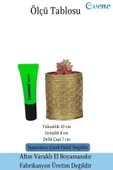 Evene Saksı Dekoratif Saksı Kaktüs Saksısı Sukulent Saksısı Küçük Saksı Model 42 Altın Saksı thumbnail 2
