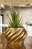 Stein Kohle Dekoratif Saksı Minik Kaktüs Saksısı Altın Renk 1 Adet Kalın Çizgili Spiral Model thumbnail 4