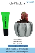 Evene Saksı Dekoratif Saksı Kaktüs Saksısı Sukulent Saksısı Küçük Saksı Model 41 Gümüş Saksı thumbnail 2