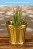 Evene Saksı Dekoratif Saksı Kaktüs Saksısı Sukulent Saksısı Küçük Saksı Model 40 Gold Saksı thumbnail 3