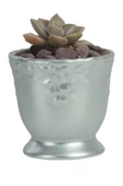 Evene Saksı Dekoratif Saksı Kaktüs Saksısı Sukulent Saksısı Küçük Saksı Model 32 Gümüş Saksı thumbnail 1