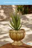 Evene Mini Çiçek Saksı Küçük Sukulent Altın Kaktüs Saksısı Antika Vazo Model thumbnail 3