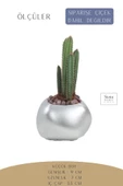 Stein Kohle Çiçek Saksısı Dekoratif Kaktüs Saksı 1 Adet Gümüş Renk Uygulamalı Spiral Oval Model thumbnail 2