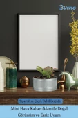 Evene Saksı Dekoratif Saksı Kaktüs Saksısı Sukulent Saksısı Küçük Saksı Model 46 Gümüş Saksı thumbnail 6