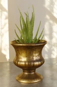 Stein Kohle Dekoratif Saksı Minik Kaktüs Saksısı Altın Eskitme Renk Model 33 thumbnail 1