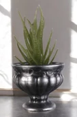 Stein Kohle Dekoratif Saksı Minik Kaktüs Saksısı Gümüş Eskitme Renk Model 34 thumbnail 1