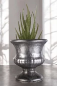 Stein Kohle Dekoratif Saksı Minik Kaktüs Saksısı Gümüş Eskitme Renk Model 33 thumbnail 1