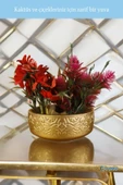 Evene Saksı Büyük Saksı Çiçek Saksısı Büyük Boy Saksı Salon Saksısı Model 2 Gold Saksı thumbnail 4