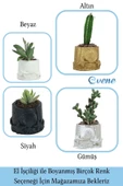 Evene Saksı Dekoratif Saksı Kaktüs Saksısı Sukulent Saksısı Küçük Saksı Model 5 Siyah Saksı - 7