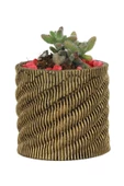 Evene Saksı Dekoratif Saksı Kaktüs Saksısı Sukulent Saksısı Küçük Saksı Model 39 Altın Saksı thumbnail 1