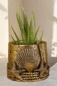 Stein Kohle Dekoratif Saksı Minik Kaktüs Saksısı Altın Eskitme Renk 1 Adet Deniz Ürünlü Model thumbnail 1