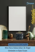 Evene Saksı Dekoratif Saksı Kaktüs Saksısı Sukulent Saksısı Küçük Saksı Model 9 Siyah Saksı thumbnail 6