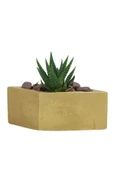 Evene Mini Çiçek Saksı Küçük Sukulent Altın Kaktüs Saksısı Dörtgen Yatay Model thumbnail 1