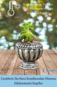 Evene Mini Çiçek Saksı Küçük Sukulent Gümüş Eskitme Kaktüs Saksısı Antika Model - 4