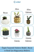 Evene Mini Çiçek Saksı Küçük Sukulent Altın Eskitme Kaktüs Saksısı Altıgen Desenli Model - 8