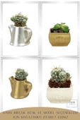 Stein Kohle Dekoratif Saksı Minik Kaktüs Saksısı Altın Renk 3 Adet Saksı Seti Mini Çaydanlık Model thumbnail 4