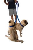 Viselia Köpek Tasması Çoklayıcı Çiftli Gezdirme Kayışı Premium Kalite Kopma Yapmaz Hafif Kolon Kumaş Mavi - 1