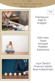 Stein Kohle Çiçek Saksısı Dekoratif Kaktüs Saksı 1 Adet Altın  Renk Uygulamalı Dönen Poly Model - 6