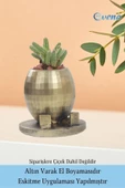 Evene Saksı Çiçek Kaktüs Saksısı Lüx 17 Cm Altın Eskitme Varak Boyalı Yuvarlak Ayaklı Saksı 2'li Çiçeklik thumbnail 5