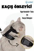 Evene Kedi Tasması Kedi Gögüs Bel Ayarlanabilir Tasma Siyah - 4