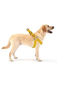 Evene Köpek Tasması Köpek Gögüs Boyun Ayarlanabilir Fonksiyonel Evcil Hayvan Tasma Sarı - 1