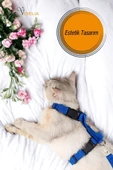 Viselia Kedi Tasması Boyun Göğüs Ayarlanabilir Sevk Kayışlı Gezdirme Seti - 2