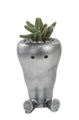 Stein Kohle Çiçek Saksısı Dekoratif Kaktüs Saksı 1 Adet Gümüş Renk Eskitme Uygulamalı Havuç Model thumbnail 1
